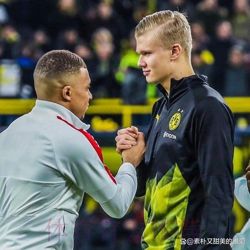 佩杜拉:哈兰德与皇马达协议 多特要价1.75亿欧 佩杜拉:哈兰德与皇马达协议 多特要价1.75亿欧